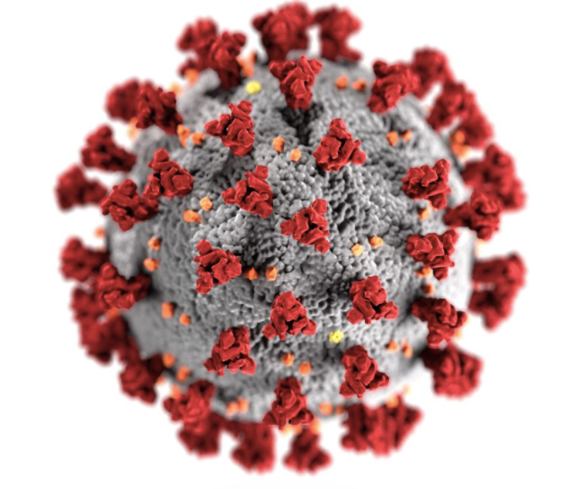 Photo of virus on COVID-19 announcement page